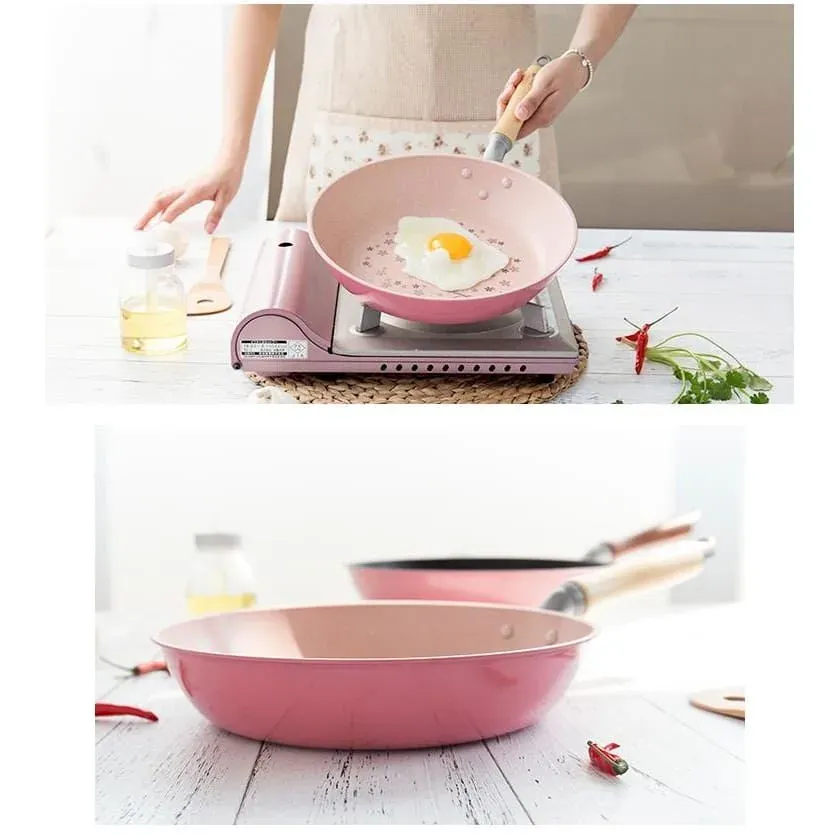 Japon style Frying Pan Ishikari poêle japonaise