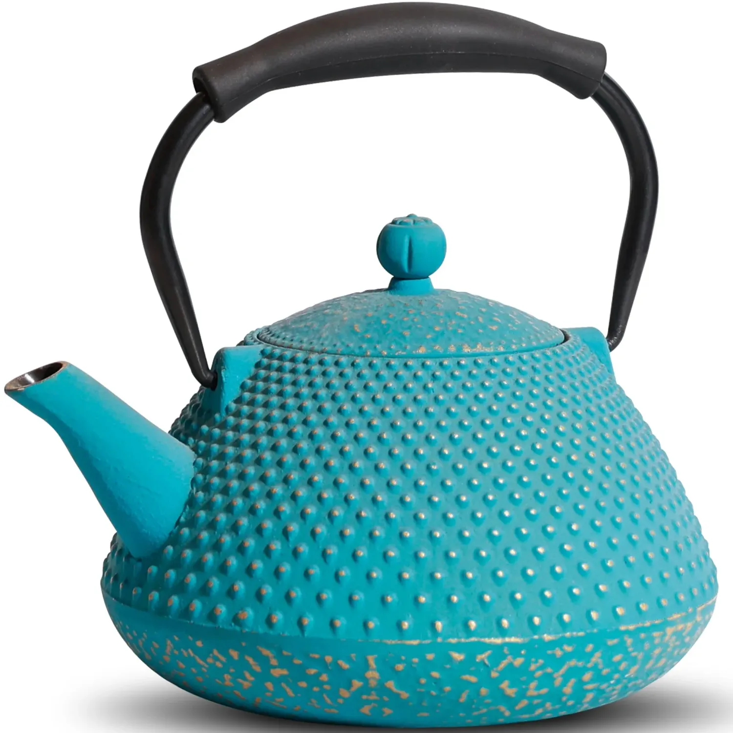 Japon style Tetsubin théière artisanale