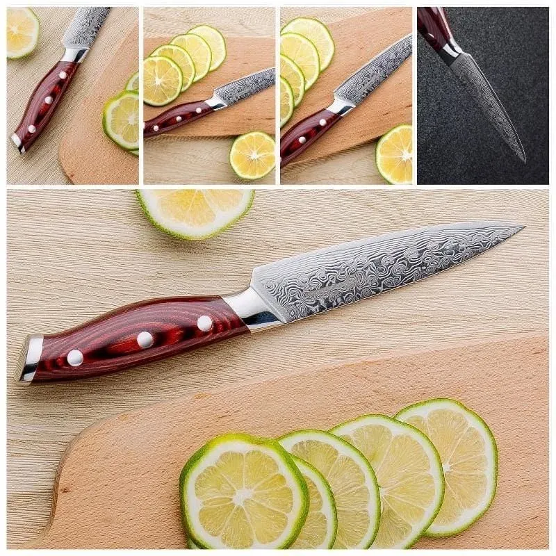 Japon style Damascus Knife Nyu Couteau japonais damas