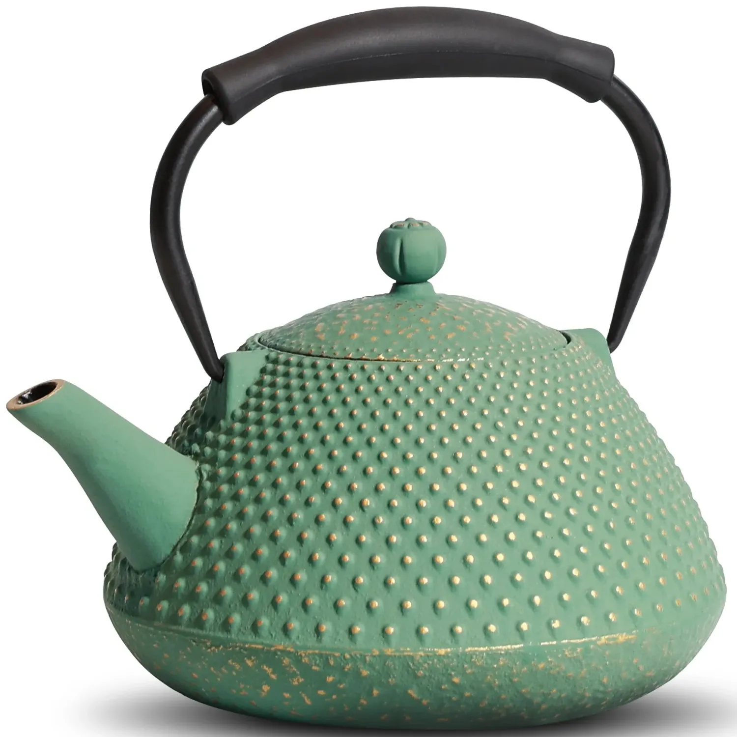 Japon style Tetsubin théière artisanale
